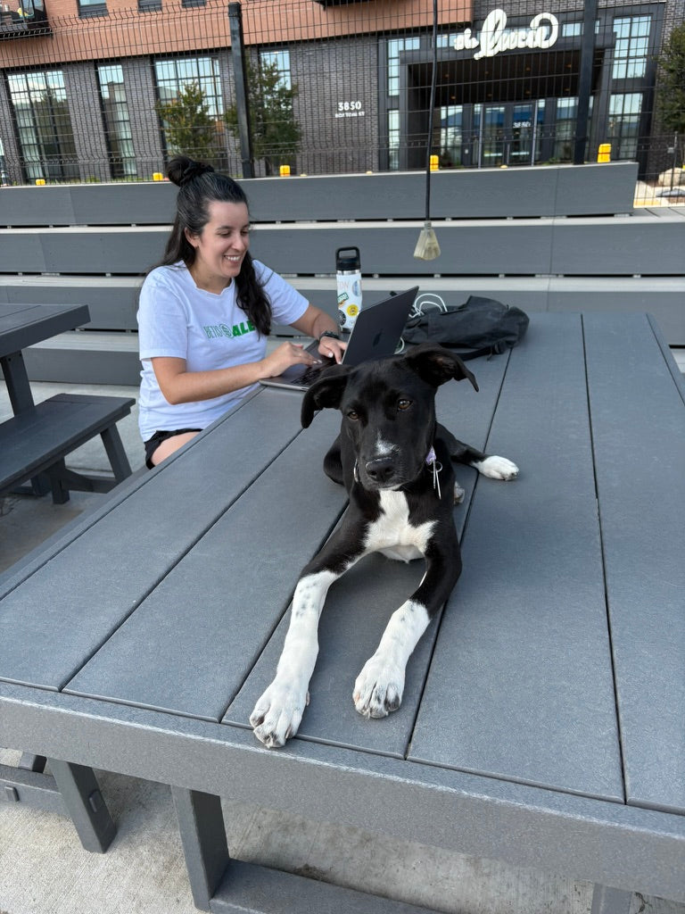 From WFH to Calmer Evenings: How Two Daycare Days a Week Reset Your Dog's Behavior