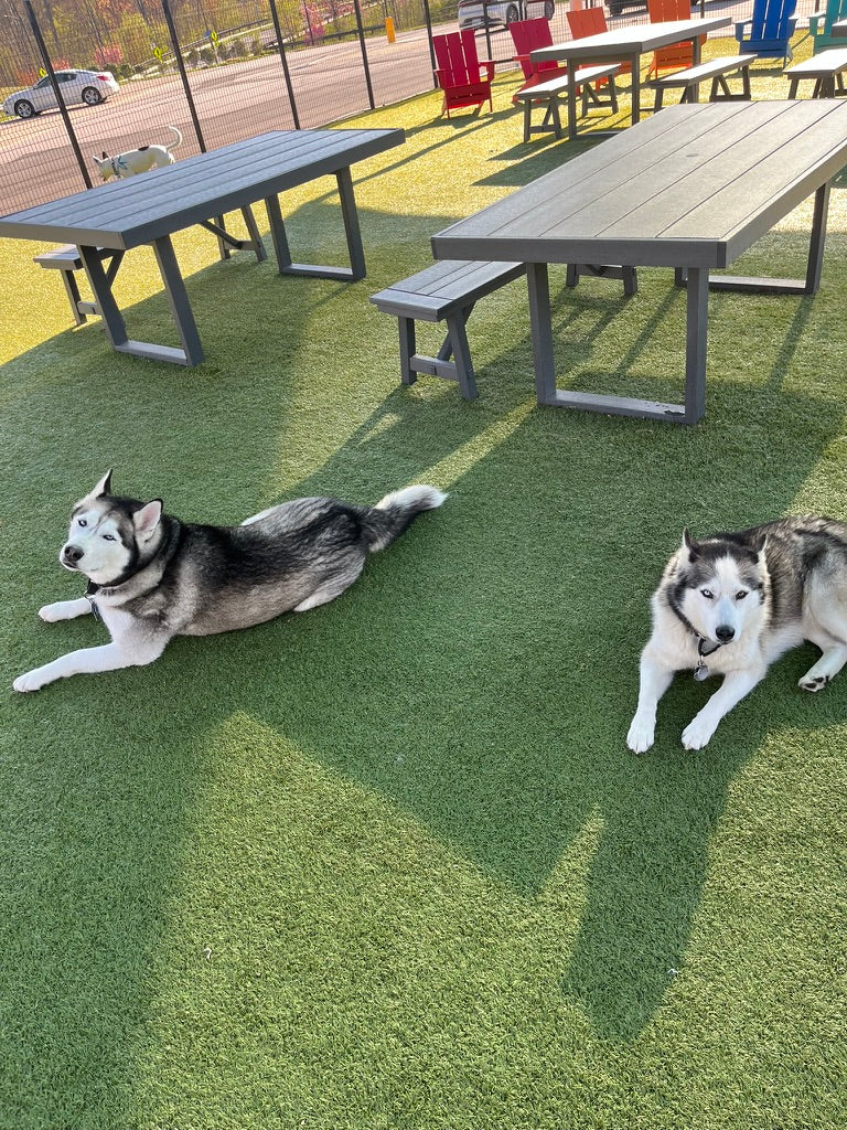 Spring Shedding Season in Columbia