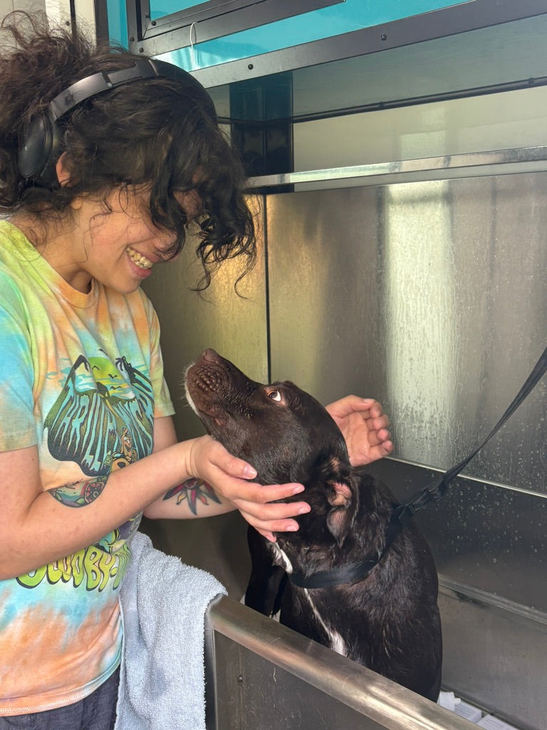 What Your Groomer Notices First