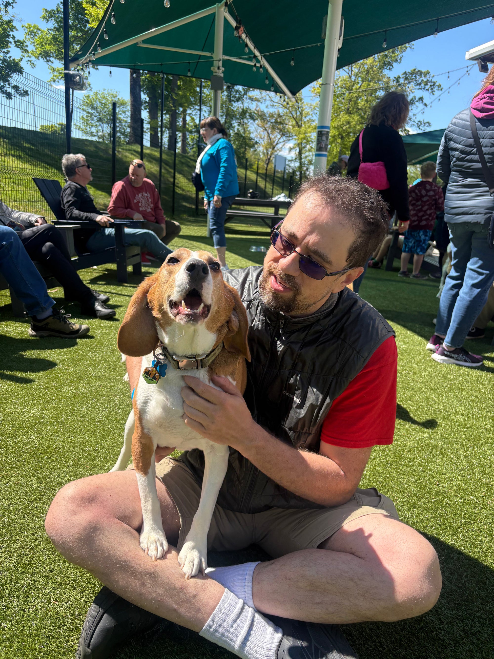 Senior Dog Care: How to Adjust Daycare, Grooming, and Boarding as Your Dog Ages