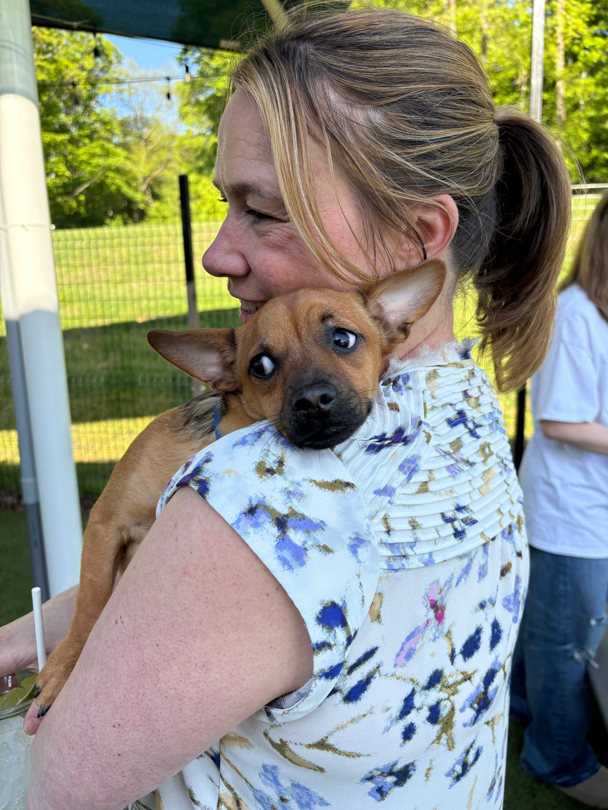 How to Socialize a Puppy: The Critical 8–16 Week Window