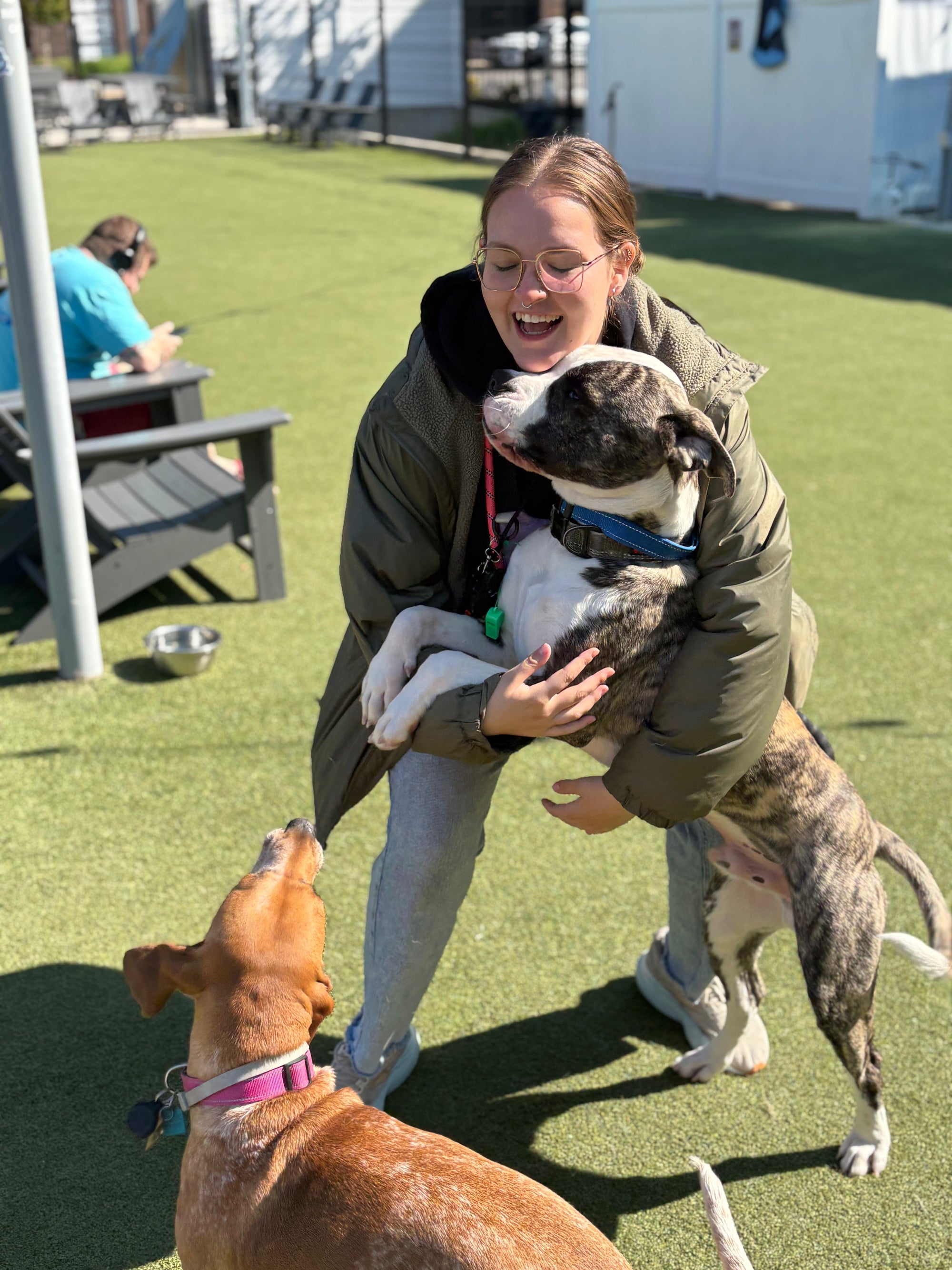 Half-Day vs. Full-Day Dog Daycare: Which One Is Right for Your Dog?