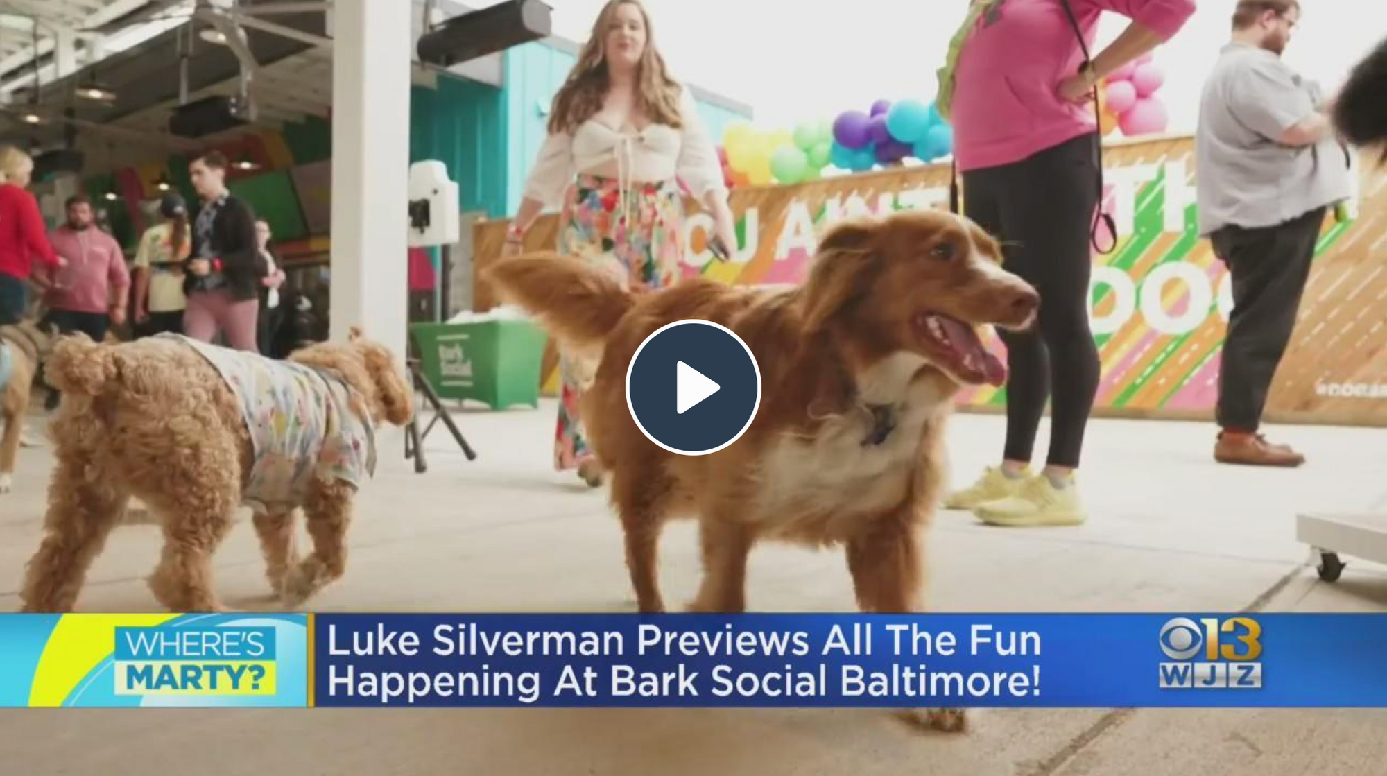 CBS: Bark Social Baltimore previews the fun in store at its doggie-friendly bar