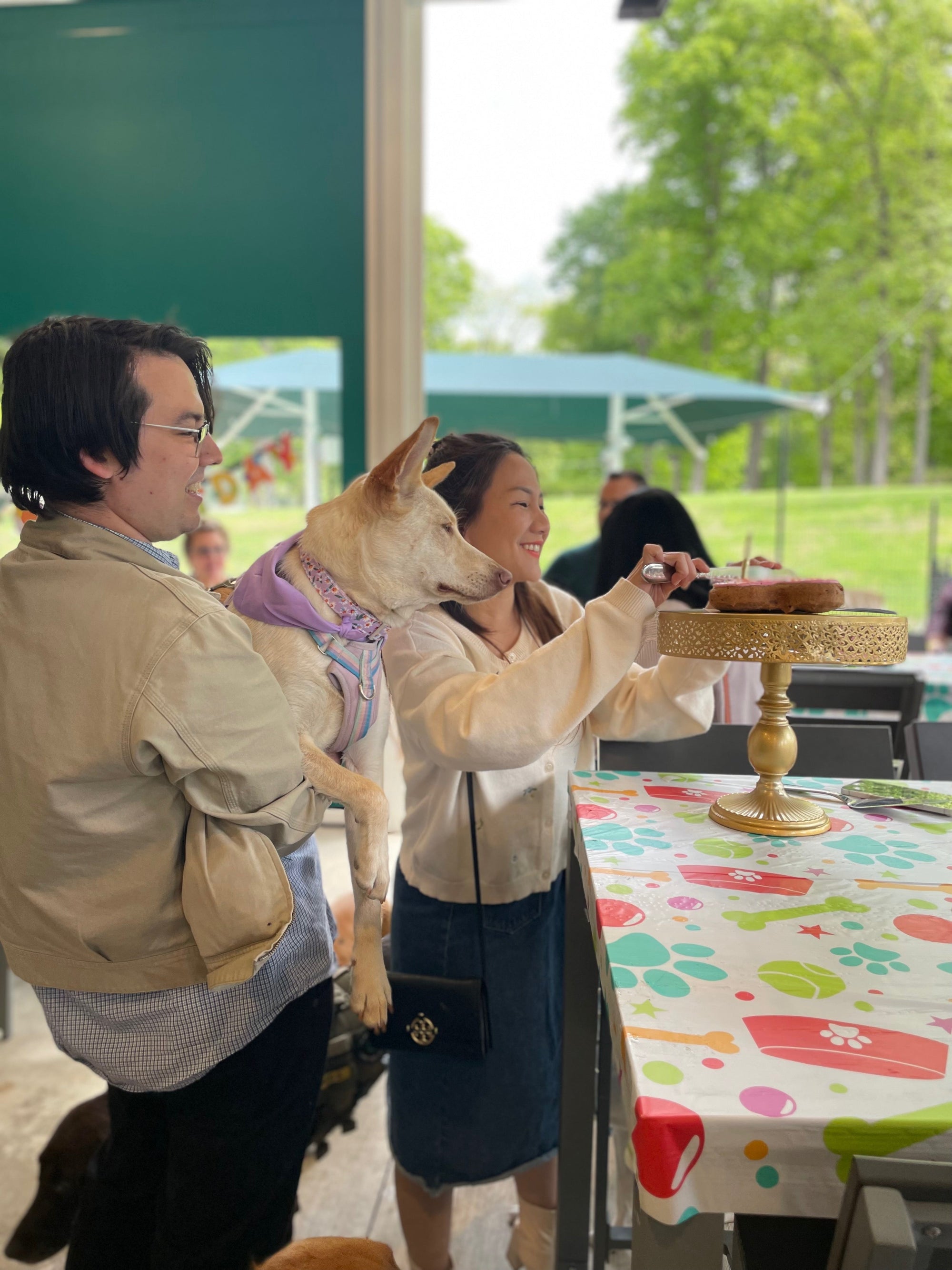 How to Throw a Dog Birthday Party: The Complete Guide
