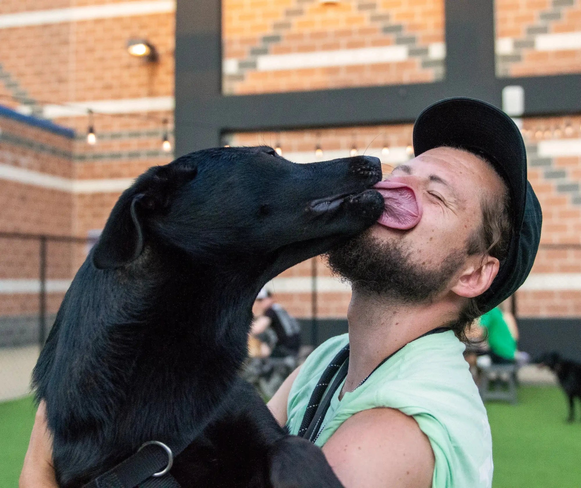 Dog lovers club sales shop