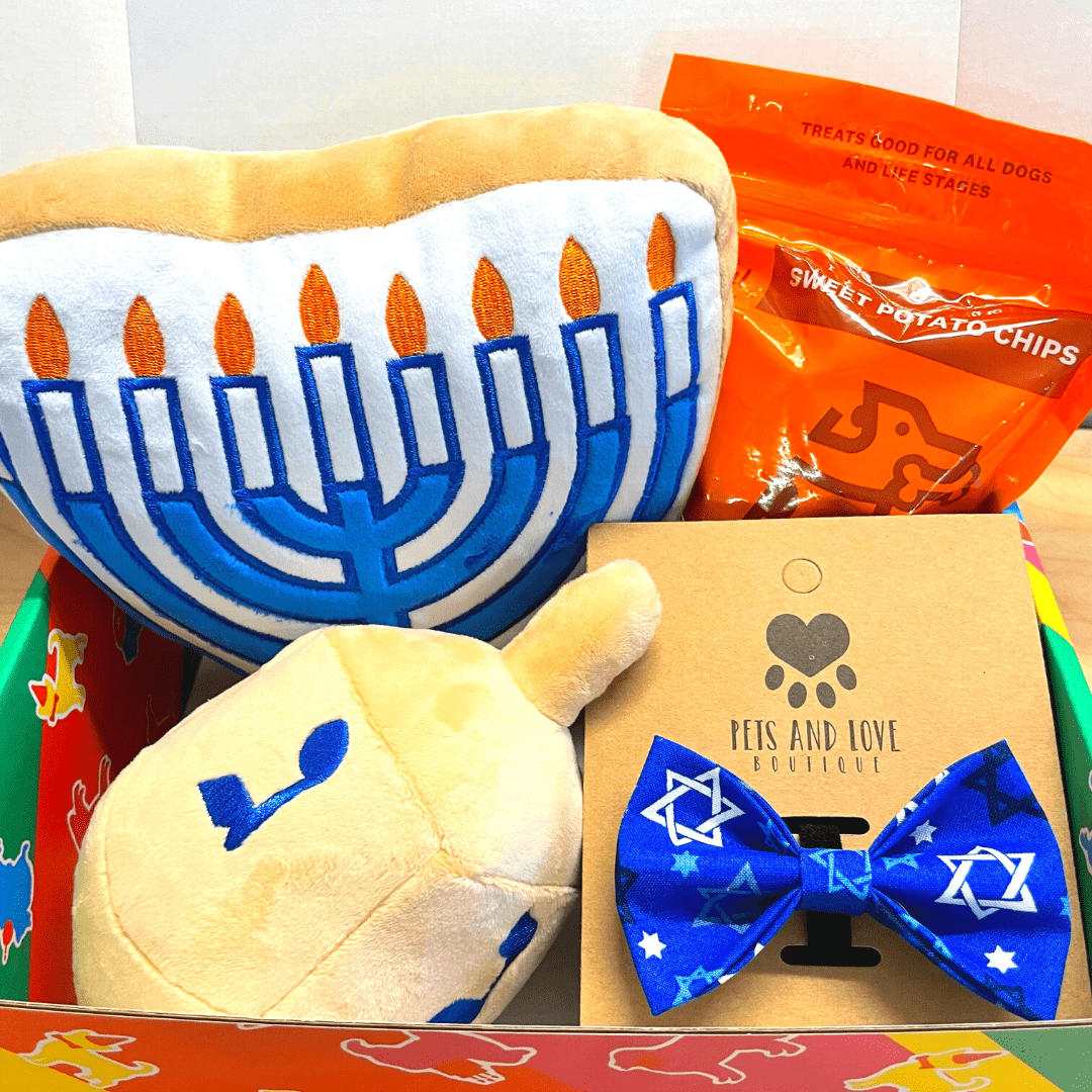 Hanukkah Party Box 2022 Bark Social