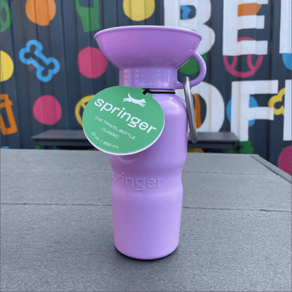 https://barksocial.com/cdn/shop/products/springer-classic-water-bottle-bark-social-30814424039563_grande.png?v=1664556092